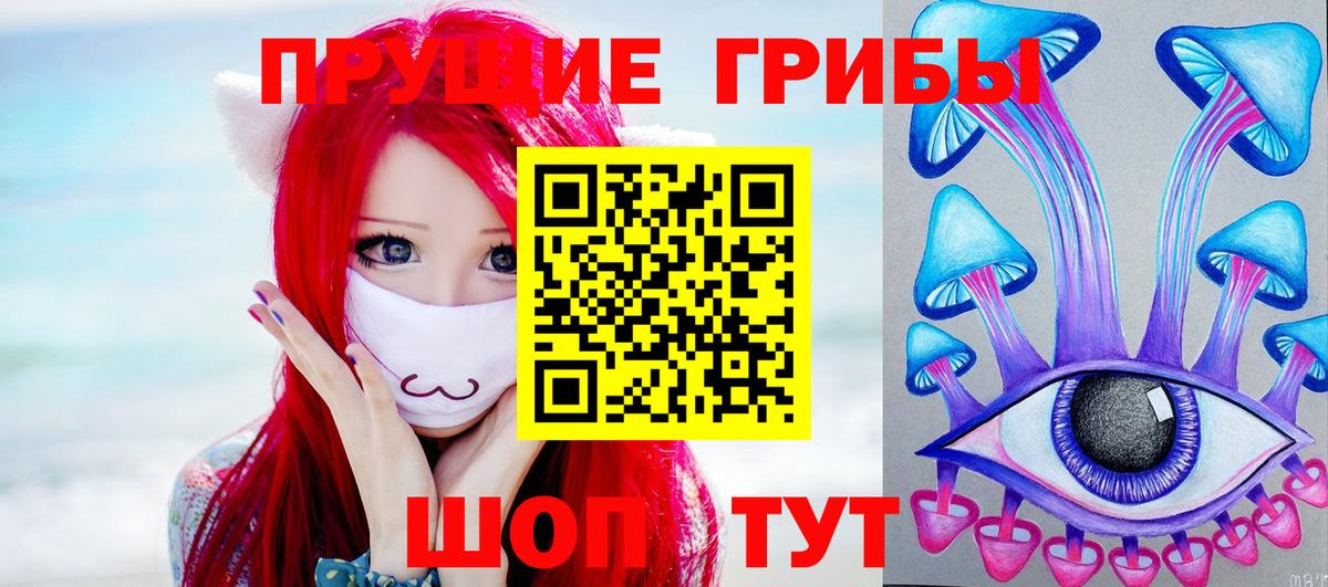 Кудрово  купить закладку  Вход с VPN  Псилоцибиновые грибы мухоморы 