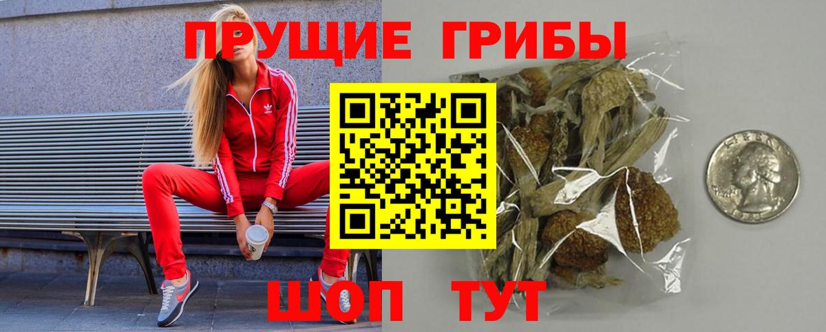 Галлюциногенные грибы мухоморы Кудрово